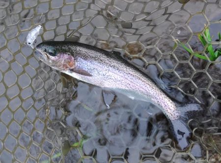雨の平谷湖フィッシングスポットで爆釣！